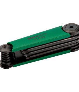 Juego de llaves hexagonales bristol