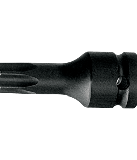 Copa de impacto punta TORX de 1/2 xT40