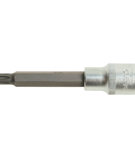 Copa de 1/2" punta RIBE RM