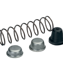 Resorte y topes para TIJE P110