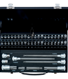 Juego de 49 puntas TORX inviolables